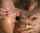 blonde long nails shaved