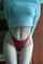 panties pale skin cute