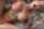pornstar tatooos xvideos