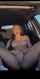 amateur ofs squirt