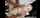 gangbang bbc shaved vagina