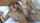 tattoo blonde cumlouder