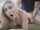 blonde doggy kali roses