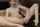 camgirl dildo squirt
