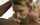 deepthroat deep throat gagging