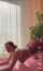 camgirl instagram tiktok