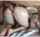 hairy redhead double penetration