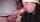 blowjob teen onlyfans