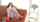 japan uncensored 1pondo