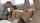 cuckold vaginal sex doggy