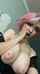 teen big tits pinkhair