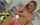 masturbation hot sexy