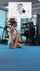 flexible yoga anime