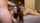 brunette beauty cumshot