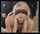 blonde threesome skinny