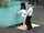 japan jav asian
