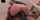 interracial vaginal sex hardcore