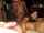 gangbang swingers orgy