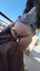 amateur public lesbian