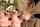 pornstar blonde cum in mouth