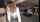 coloured haie blowjob deepthoat