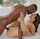 romantic deep penetration black guy