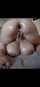 big ass busty anal