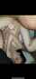 amateur teen gangbang