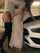 classy dress car doggy