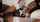 ebony anal bbc