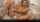 hot masturbation solo