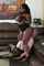 ebony bdsm interracial