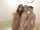 lesbian threesome bath