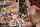 jav japanese adult video
