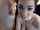 amateur deepthroat couple