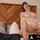 milf busty brunette