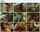 teen public reverse cowgirl
