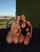 two girls blonde bikini