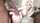 threesome blonde anal