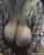 busty surpise flash