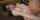 jav japan japanese