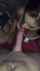 pov threesome ffm