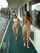 public nude teens