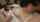 jav japan japanese