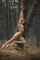 forest nature athletic