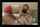 lesbian bedroom sex
