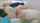 toilet big ass whore
