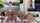 jav japanese asian
