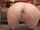anal creampie anal creampie