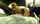blonde bbc interracial